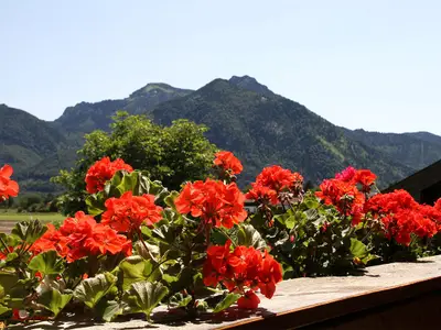 Balkon mit Blumen