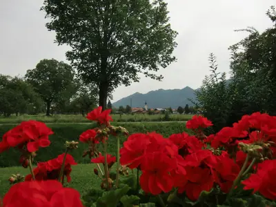Freie Sicht zur Ortsmitte von Grassau