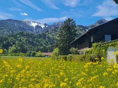 Rapsblüte mit Haus und Hochplatte