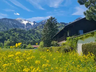 Rapsblüte mit Haus und Hochplatte