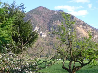 Blick von Terasse zum Schnappenberg 1.040m (Jahreszeit April)