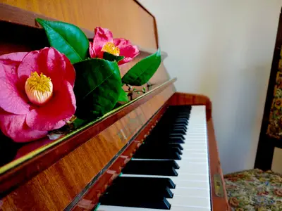 Ferienwohnung für 4 Personen (95 m²) in Gravedona-San Gregorio 7/10