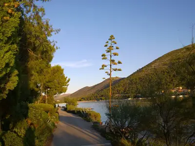 Ferienwohnung für 5 Personen (24 m²) in Grebaštica 2/10