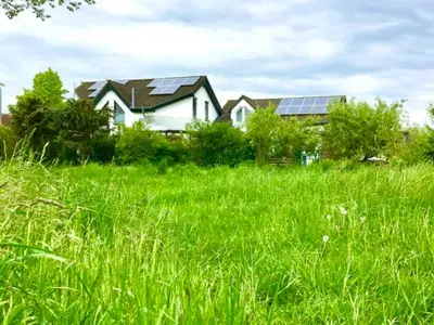 Ferienwohnung für 4 Personen (39 m²) in Greifswald 2/6