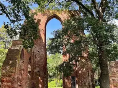 Ferienwohnung für 4 Personen (55 m²) in Greifswald 6/10