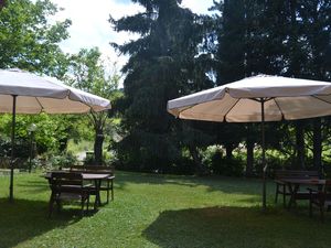 19351076-Ferienwohnung-2-Greve In Chianti-300x225-3