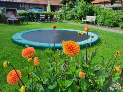 Dahlien mit Blick aufs Trampolin