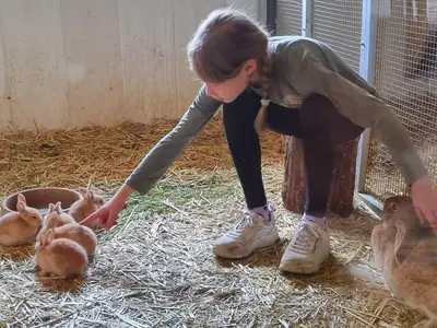 Ferienwohnung für 2 Personen (25 m²) in Greven (Nordrhein-Westfalen) 7/10