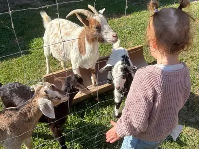 Ferienwohnung für 2 Personen (25 m²) in Greven (Nordrhein-Westfalen) 4/10