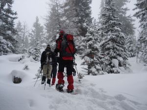 24030098-Ferienwohnung-3-Gries am Brenner-300x225-5