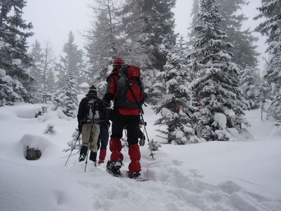 Landhaus_Mair_Waldrast_Schneeschuhwandern