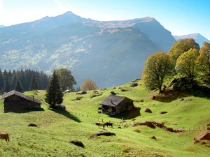 23860768-Ferienwohnung-6-Grindelwald-300x225-5