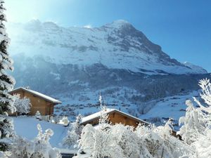 22270631-Ferienwohnung-4-Grindelwald-300x225-5