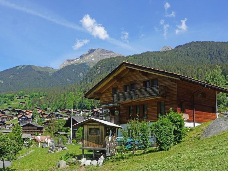 22484079-Ferienwohnung-4-Grindelwald-800x600-2