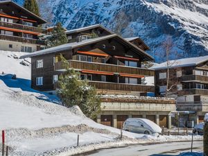 22471055-Ferienwohnung-4-Grindelwald-300x225-1