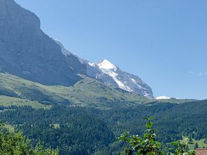 23698625-Ferienwohnung-4-Grindelwald-300x225-2