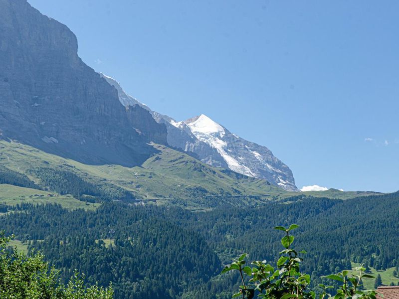 23698625-Ferienwohnung-4-Grindelwald-800x600-2