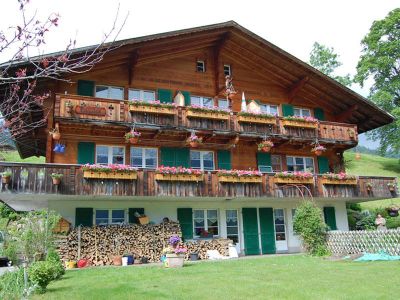 Aussenansicht des Chalet Burgstein