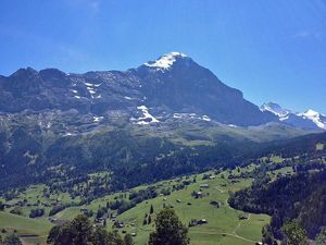 Ferienwohnung für 4 Personen (48 m&sup2;) in Grindelwald