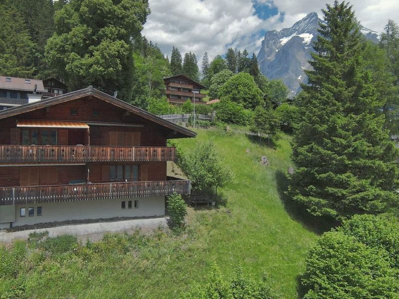 22307617-Ferienwohnung-2-Grindelwald-800x600-0