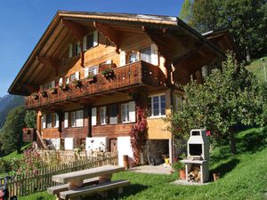 22255987-Ferienwohnung-2-Grindelwald-300x225-2