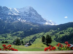 22255987-Ferienwohnung-2-Grindelwald-300x225-3