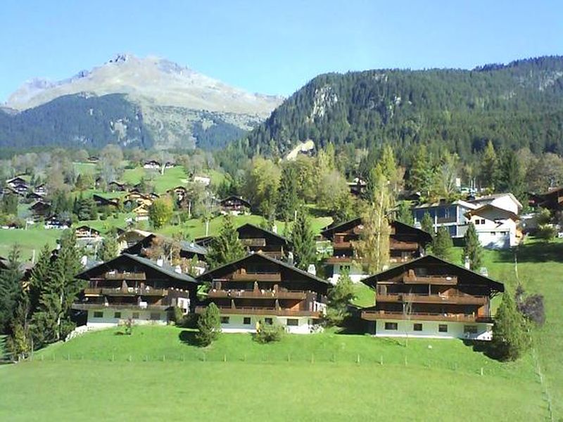 22320707-Ferienwohnung-2-Grindelwald-800x600-0