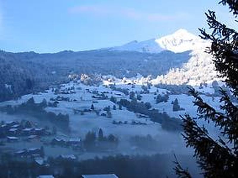 22320707-Ferienwohnung-2-Grindelwald-800x600-2