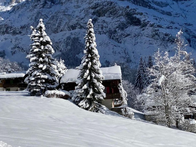 22256011-Ferienwohnung-5-Grindelwald-800x600-1