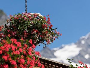 22256025-Ferienwohnung-2-Grindelwald-300x225-5