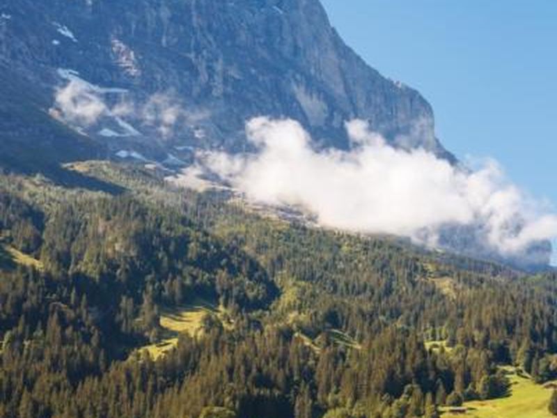 22244029-Ferienwohnung-7-Grindelwald-800x600-2