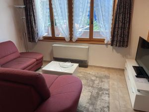 23968539-Ferienwohnung-2-Grindelwald-300x225-4