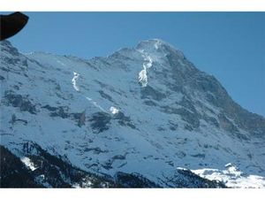 Ferienwohnung für 4 Personen (63 m²) in Grindelwald