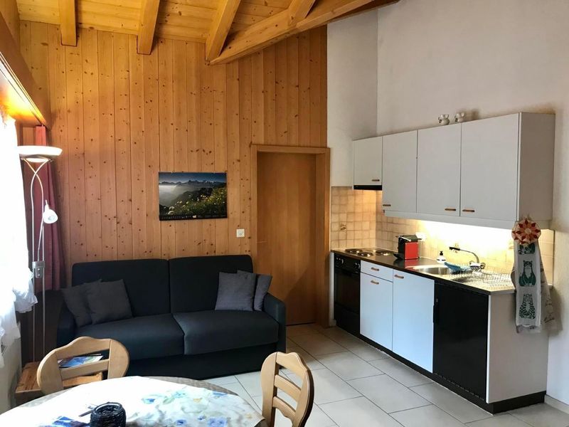 22256017-Ferienwohnung-4-Grindelwald-800x600-2