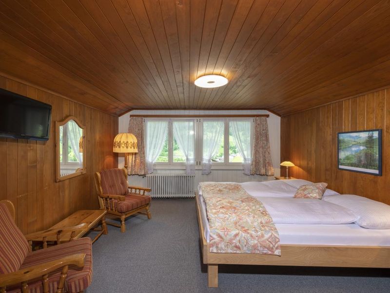 22253441-Ferienwohnung-2-Grindelwald-800x600-0