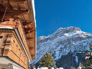 22256027-Ferienwohnung-4-Grindelwald-300x225-5