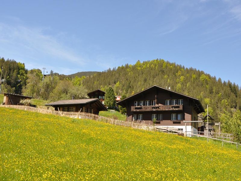 22936353-Ferienwohnung-5-Grindelwald-800x600-0