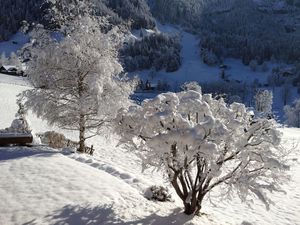 23837524-Ferienwohnung-4-Grindelwald-300x225-2