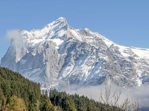 23837539-Ferienwohnung-6-Grindelwald-300x225-5