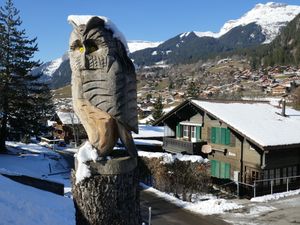 23838076-Ferienwohnung-4-Grindelwald-300x225-4