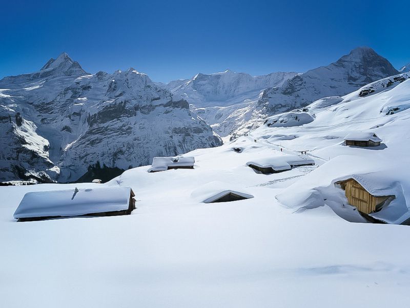 23838680-Ferienwohnung-2-Grindelwald-800x600-1