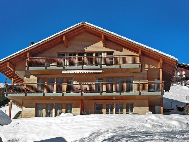 23838676-Ferienwohnung-4-Grindelwald-800x600-1