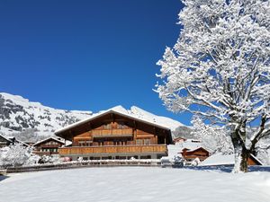 23841843-Ferienwohnung-2-Grindelwald-300x225-1