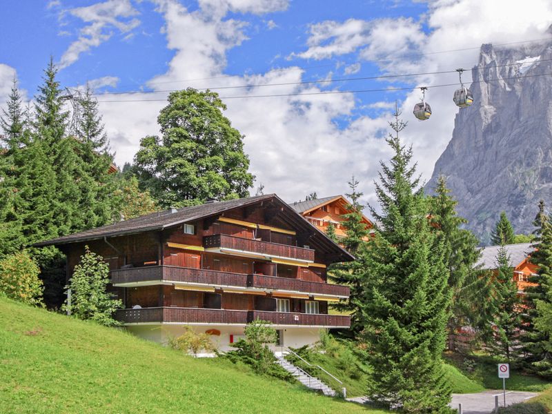 23849527-Ferienwohnung-6-Grindelwald-800x600-0