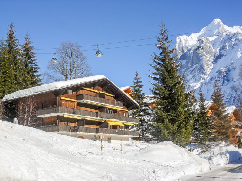 23849527-Ferienwohnung-6-Grindelwald-800x600-1