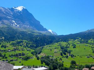 23851891-Ferienwohnung-4-Grindelwald-300x225-5