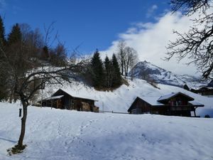 23860496-Ferienwohnung-2-Grindelwald-300x225-1