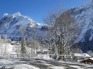 23860587-Ferienwohnung-4-Grindelwald-300x225-2