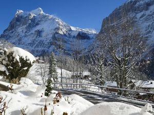 23860587-Ferienwohnung-4-Grindelwald-300x225-5