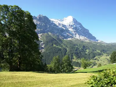 Aussicht